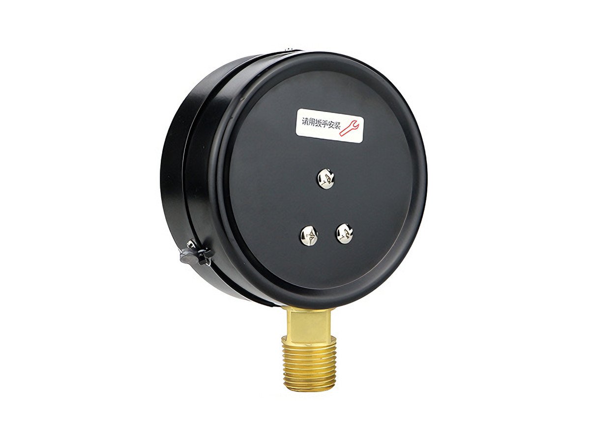 Gaugwise Y100 100mm 0-1MPa General Purpose Pressure Gauge