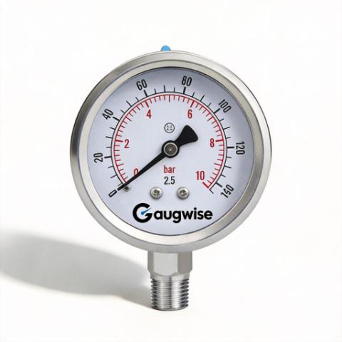 Gaugwise Y60BF 60mm Compact Stainless Radial Gauge for Process OEM