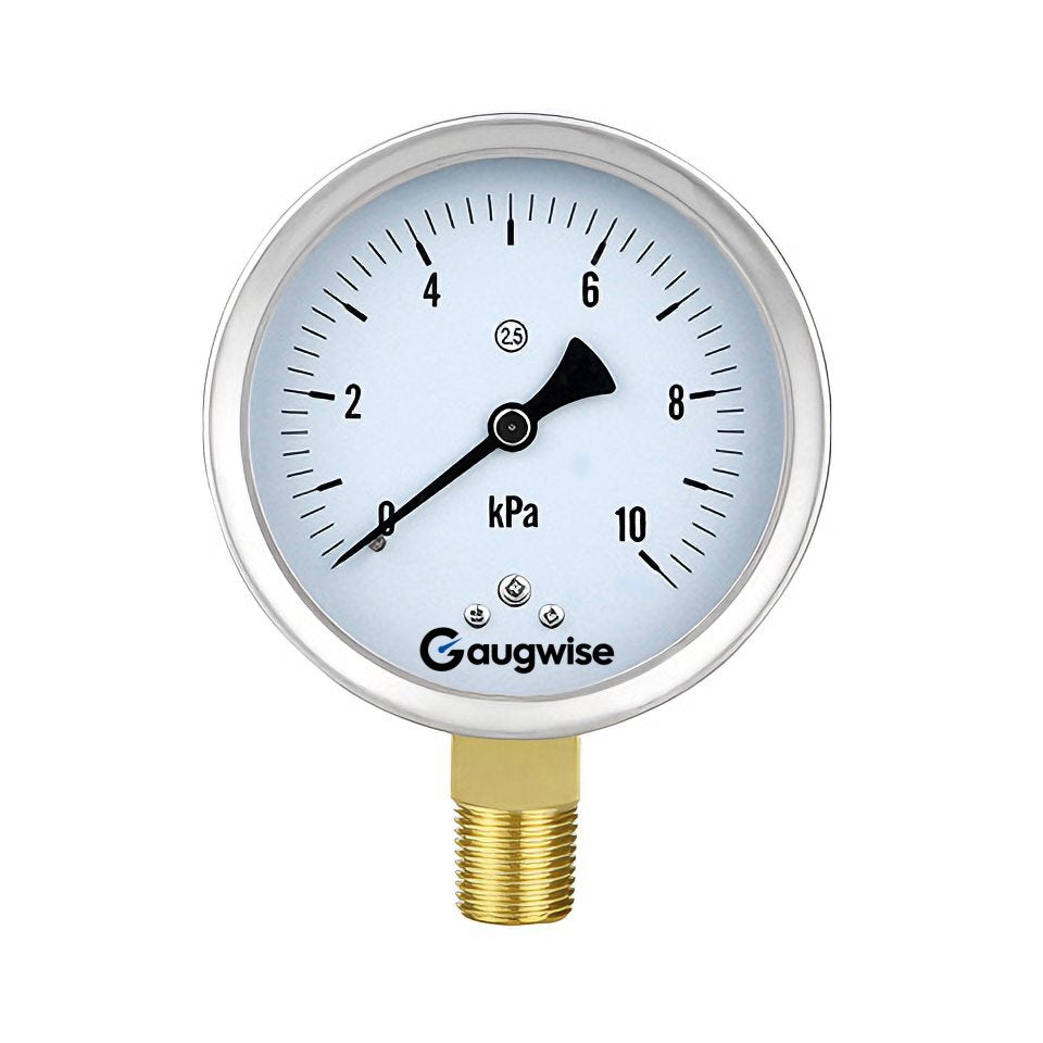 Gaugwise YE100 100mm Capsule Micro Pressure Gauge