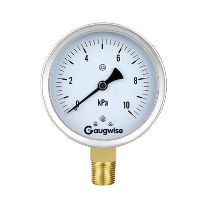 Gaugwise YE100 100mm Capsule Micro Pressure Gauge