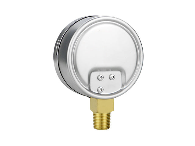 Gaugwise YE100 100mm Capsule Micro Pressure Gauge