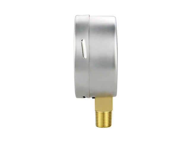 Gaugwise YE100 100mm Capsule Micro Pressure Gauge