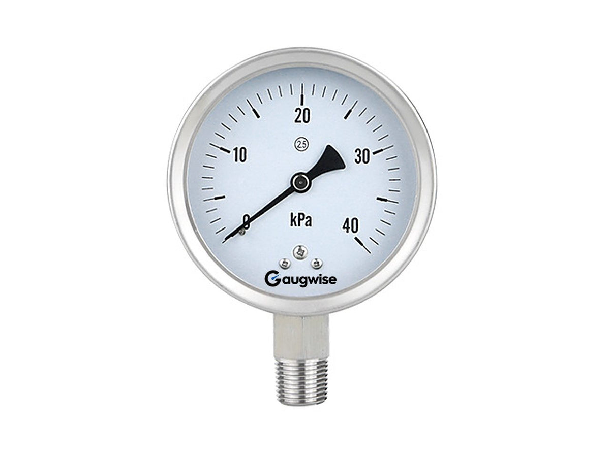 Gaugwise YE100BF 100mm Stainless Case Capsule Micro Pressure Gauge