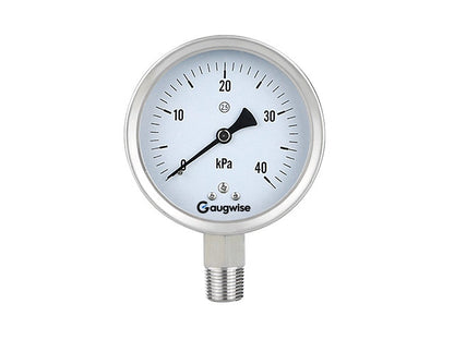 Gaugwise YE100BF 100mm Stainless Case Capsule Micro Pressure Gauge
