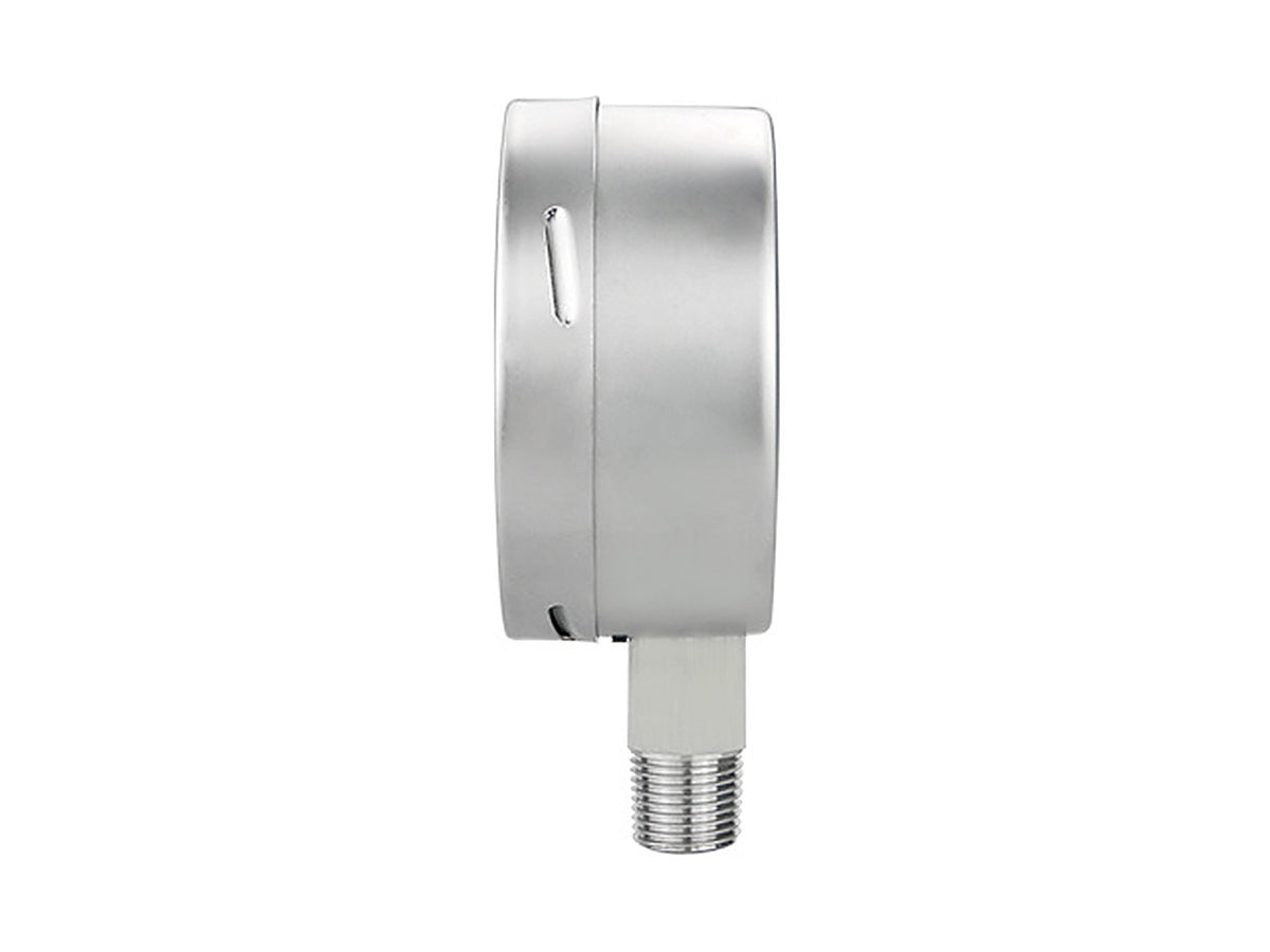 Gaugwise YE100BF 100mm Stainless Case Capsule Micro Pressure Gauge