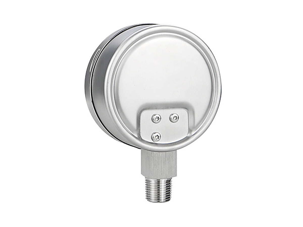 Gaugwise YE100BF 100mm Stainless Case Capsule Micro Pressure Gauge